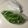 ポークの嫁's cooksnap of when they made スナップえんどうの簡単な冷凍保存方法.