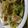 あゆたっくん's cooksnap of when they made 鶏むねとブロッコリーオイスターソース炒め.