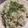 トコタン's cooksnap of when they made 残りご飯救済！白だしでガーリックライス.