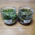 mieko0225's cooksnap of when they made シソの実の保存.