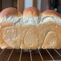 milk100's cooksnap of when they made スキムミルク消費に！ふんわり柔らか食パン.