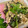 クック25FJ6B☆'s cooksnap of when they made 簡単♪パクチーとなすのエスニック風炒め.