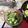 mielle's cooksnap of when they made オクラときゅうりのレモン酢和え.