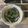 クック890HSE☆'s cooksnap of when they made 簡単副菜★小松菜としめじの煮びたし.