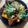 ちくわ君's cooksnap of when they made 牛すじ豆腐.