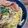 ゆぅ＊☆○'s cooksnap of when they made 牛乳で濃厚☆舞茸と生ハムのクリームパスタ.