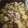 はるいろいちご's cooksnap of when they made 簡単　子供が喜ぶ！旨い豚バラ大根.
