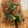 Chimy08's cooksnap of when they made ✿簡単あと一品 厚揚げのおろし煮✿.