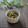 まろんかふぇ's cooksnap of when they made ★切干大根とひじきとほうれん草のナムル★.