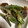 はるはる35's cooksnap of when they made 簡単おつまみ☆オクラの海苔塩唐揚げ。.