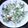 すーか's cooksnap of when they made 水菜の白和え.