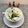 horseland's cooksnap of when they made ☆キャベツの塩昆布和え☆.