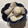 12mam31's cooksnap of when they made 里芋の煮っ転がし（白だし）.