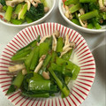 なーなちゃん's cooksnap of when they made めんつゆで簡単♪小松菜としめじのおひたし.