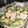 ちゃちゅ2's cooksnap of when they made ドレッシングうま！豆腐とアボカドのサラダ.