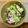 shogopapa's cooksnap of when they made そら豆のツナ昆布和え.