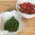 まこさんど's cooksnap of when they made 【話題入り】長持ち新鮮♪大葉の保存法.