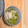 まいまい812's cooksnap of when they made 豆苗と豚肉のスープ♪.