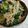 ヤスコ♪'s cooksnap of when they made もやし、小松菜、ツナ缶で簡単レンジ副菜！.