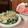 ダッフィーニーうに's cooksnap of when they made おうちでプロ級！　シーザーサラダ.