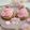 くみくまちゃん's cooksnap of when they made かわいい春色♡桜のモンブランタルト.