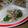 ワダーキコ's cooksnap of when they made オクラとえのき茸のおかか和え.