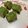 クックX39KCC☆'s cooksnap of when they made 砂糖不使用！バナナのオートミール蒸しパン.