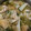 xyzクック's cooksnap of when they made 海老とシメジのパスタdeパエリヤ風♪.
