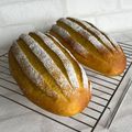 さっちゃん←元こ茄子's cooksnap of when they made かぼちゃのハースブレッド。.