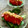pali's cooksnap of when they made トマトの和風サラダ.