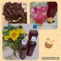 みかかめ's cooksnap of when they made ♢♧かんたん赤しそジュース♧♢リンゴ酢入.