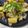 亜矢＊'s cooksnap of when they made ◆じゃがいもと豚の旨味炒め◆.