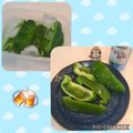 みかかめ's cooksnap of when they made 冷やしピーマン（福岡パリパリピーマン）.