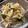 クックXZON9Y☆'s cooksnap of when they made 【話題入り】もやしとツナのサラダ.