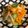 クック7ZSRQQ☆'s cooksnap of when they made 給食の「野菜のもみづけ」♡白菜の浅漬.