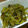 おまめ115's cooksnap of when they made 甘長シシトウのきんぴら炒め.
