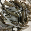 水色ひまわりか's cooksnap of when they made メゴチのさばき方（天ぷら・唐揚げ用）.