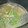 TaniYuri's cooksnap of when they made 簡単！美味しい！さっぱりレタスのスープ.