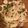 クックD4LCV2☆'s cooksnap of when they made 大根サラダ.