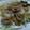 クック022M25☆'s cooksnap of when they made 簡単！豚の生姜焼きのマヨネーズ添え.