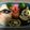キリンパン's cooksnap of when they made ハロウィンミイラ弁当（キャラ弁）（幼稚園.