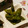eiyoushi's cooksnap of when they made だれでも簡単！基本の枝豆(下処理～).