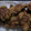 ニャ〜子♪'s cooksnap of when they made 我が家のからあげ.