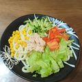 ガンズくん's cooksnap of when they made サラダうどん.