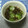おはなすき's cooksnap of when they made 【簡単】さっぱり！美味しい簡単もずく酢.