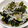 クックI6NLMD☆'s cooksnap of when they made さっぱり簡単☆大根としらすのサラダ.