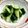 蒼の雫sp's cooksnap of when they made 材料は3つ☆きゅうりの漬物.