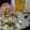 ダイナマイト漆黒's cooksnap of when they made 超❗️簡単‼️お好み焼き風キャベツサラダ.