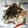 ぷりまめ's cooksnap of when they made 長芋と梅干しのさっぱり和え.