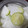 RUKA37's cooksnap of when they made 簡単！大根のお漬物！.